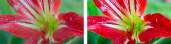 High Definition Lenses High Definition Lenses